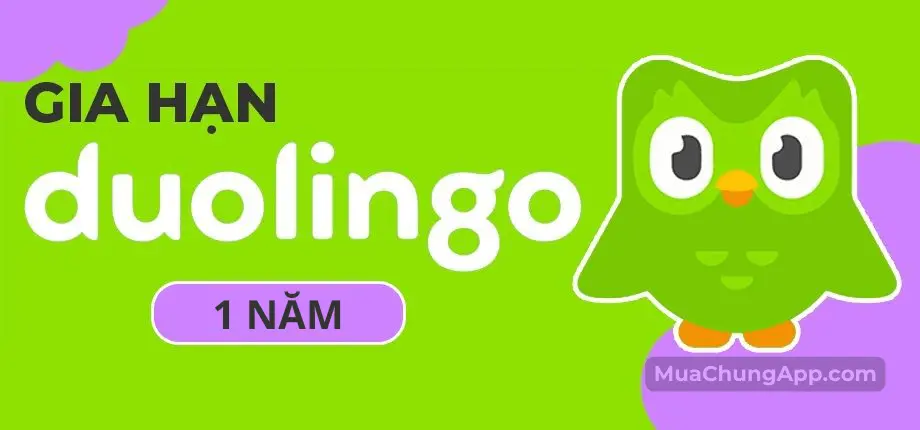 Nâng cấp Duolingo Super 1 năm