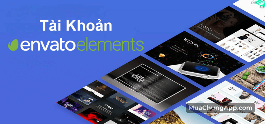 Tài khoản Envato Elements giá rẻ